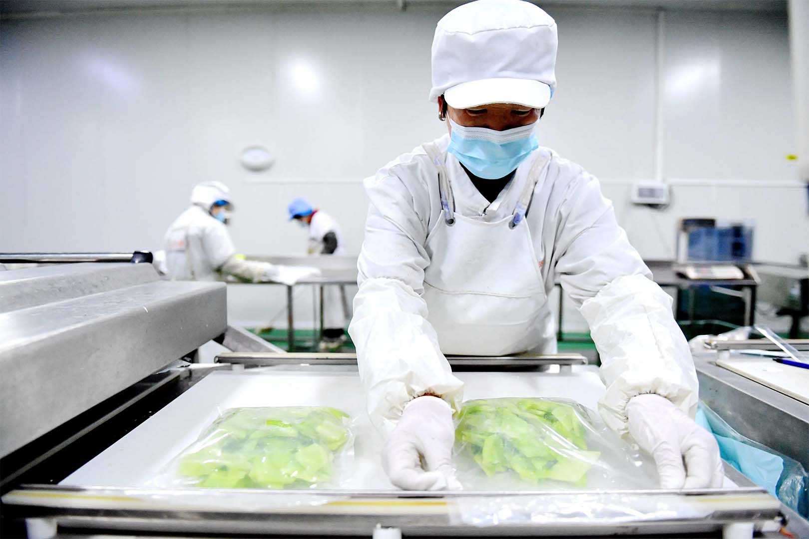 鎖鮮新科技：火鍋食材與凈菜保鮮包裝機，引領食品加工潮流